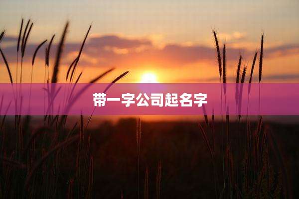 带一字公司起名字