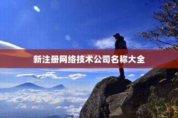 新注册网络技术公司名称大全