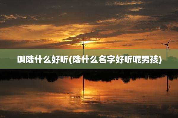 叫陆什么好听(陆什么名字好听呢男孩)