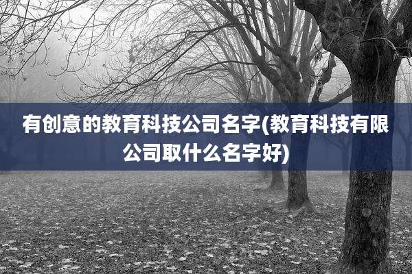 有创意的教育科技公司名字(教育科技有限公司取什么名字好)