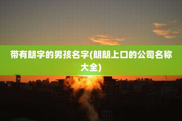 带有朗字的男孩名字(朗朗上口的公司名称大全)