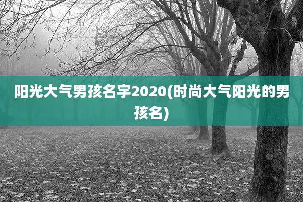阳光大气男孩名字2020(时尚大气阳光的男孩名)