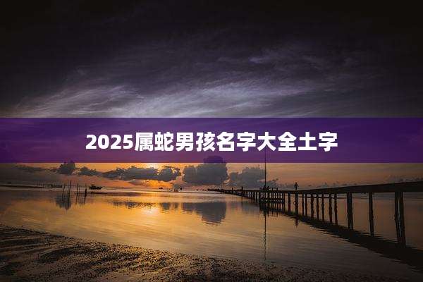 2025属蛇男孩名字大全土字