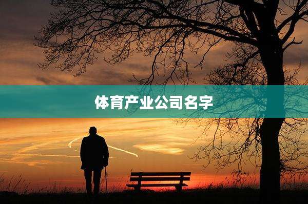体育产业公司名字