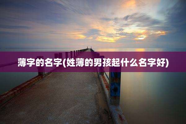 薄字的名字(姓薄的男孩起什么名字好)