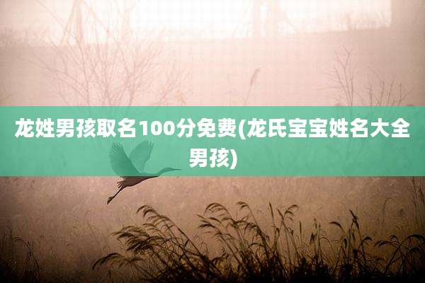 龙姓男孩取名100分免费(龙氏宝宝姓名大全男孩)