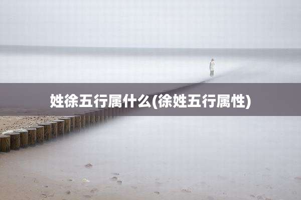 姓徐五行属什么(徐姓五行属性)
