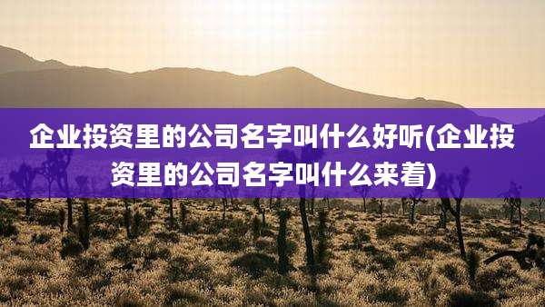 企业投资里的公司名字叫什么好听(企业投资里的公司名字叫什么来着)