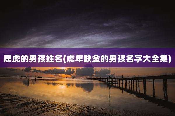 属虎的男孩姓名(虎年缺金的男孩名字大全集)