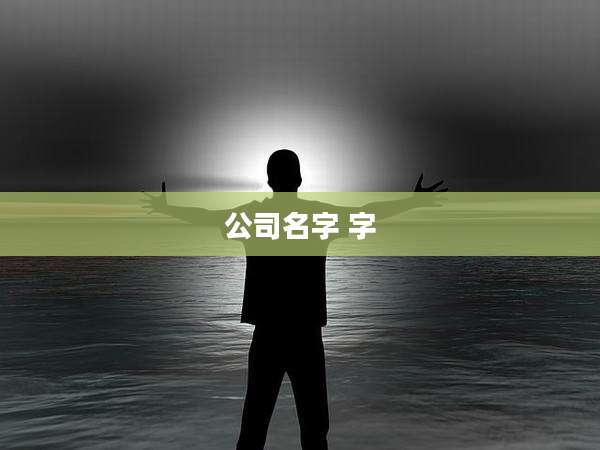 公司名字 字