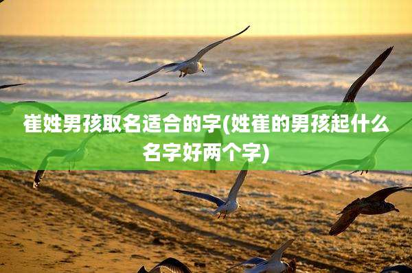 崔姓男孩取名适合的字(姓崔的男孩起什么名字好两个字)