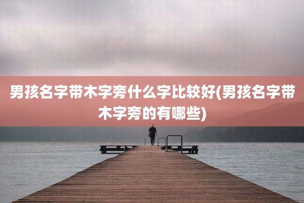男孩名字带木字旁什么字比较好(男孩名字带木字旁的有哪些)