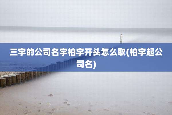 三字的公司名字柏字开头怎么取(柏字起公司名)