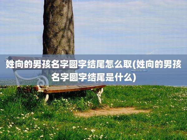 姓向的男孩名字圆字结尾怎么取(姓向的男孩名字圆字结尾是什么)