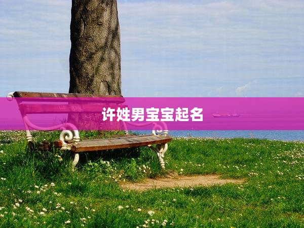 许姓男宝宝起名