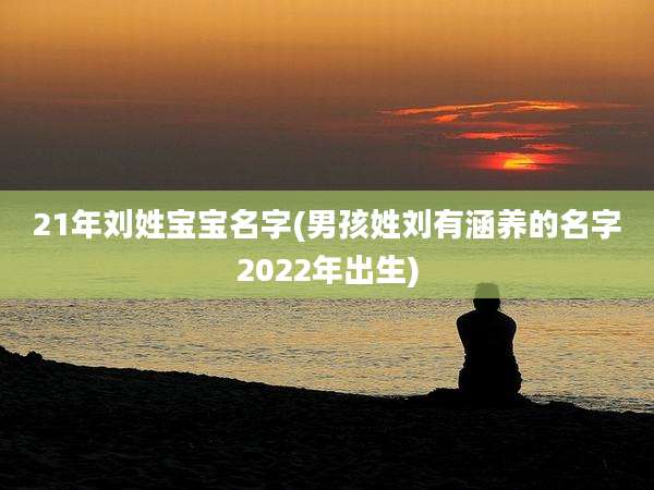 21年刘姓宝宝名字(男孩姓刘有涵养的名字2022年出生)