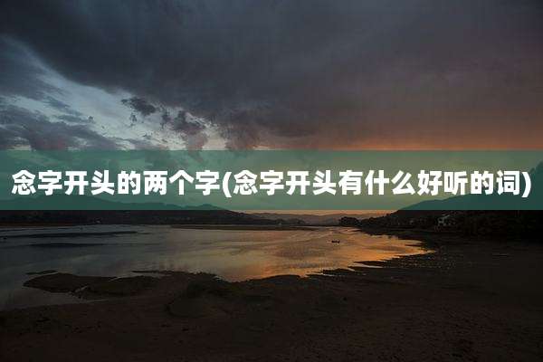 念字开头的两个字(念字开头有什么好听的词)