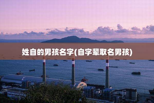 姓自的男孩名字(自字辈取名男孩)