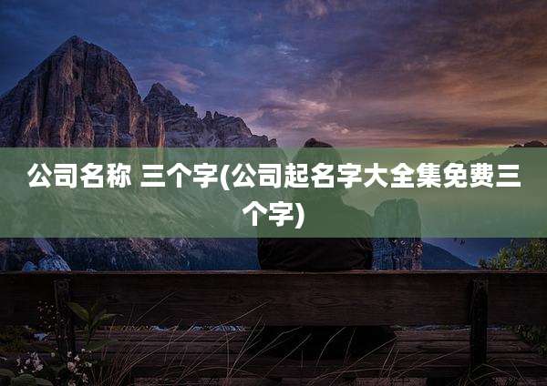 公司名称 三个字(公司起名字大全集免费三个字)