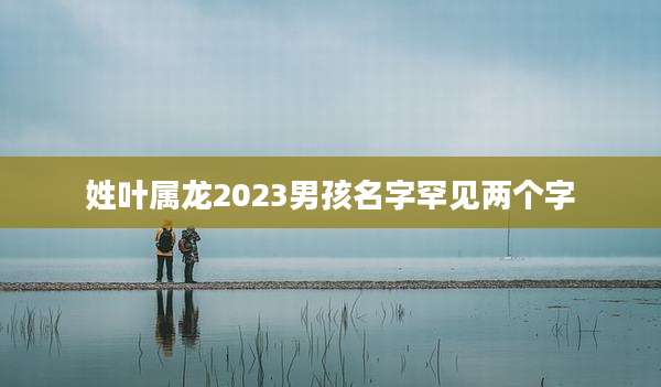 姓叶属龙2023男孩名字罕见两个字