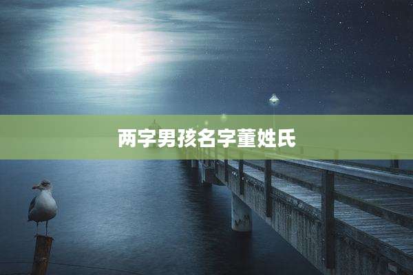 两字男孩名字董姓氏