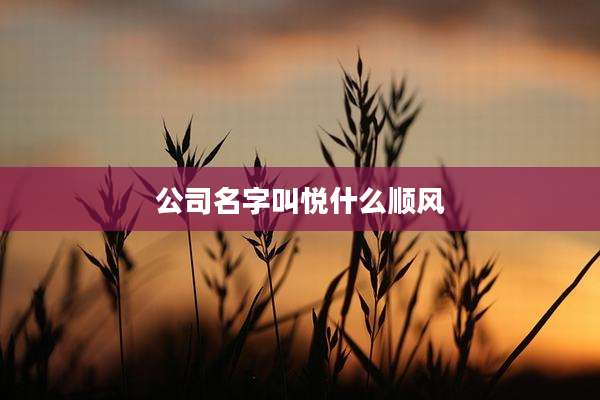 公司名字叫悦什么顺风