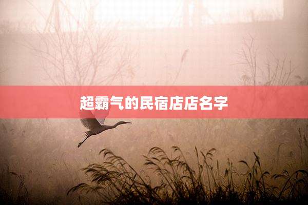 超霸气的民宿店店名字