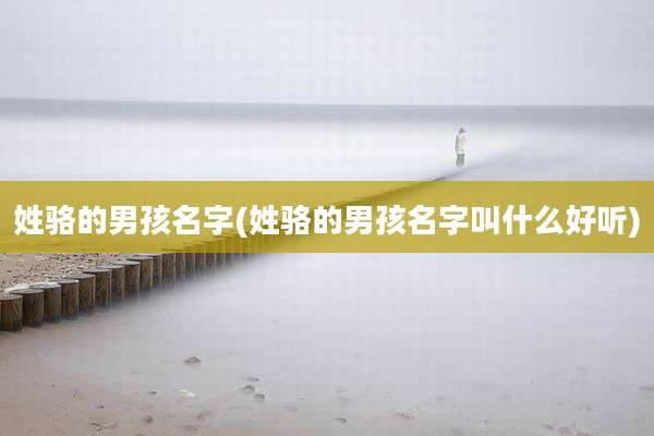 姓骆的男孩名字(姓骆的男孩名字叫什么好听)