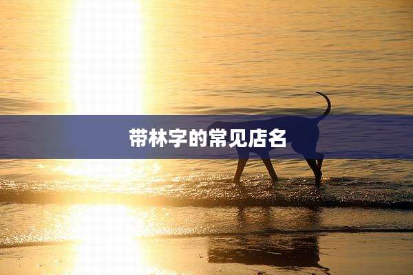 带林字的常见店名