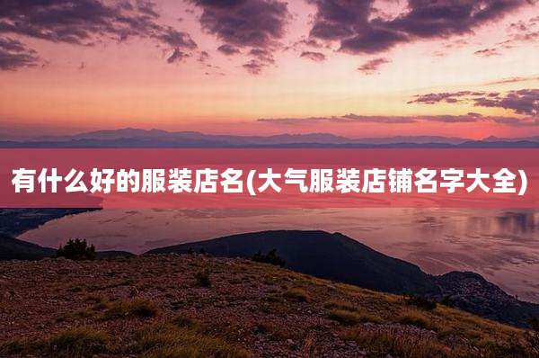 有什么好的服装店名(大气服装店铺名字大全)