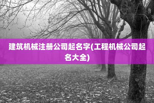 建筑机械注册公司起名字(工程机械公司起名大全)