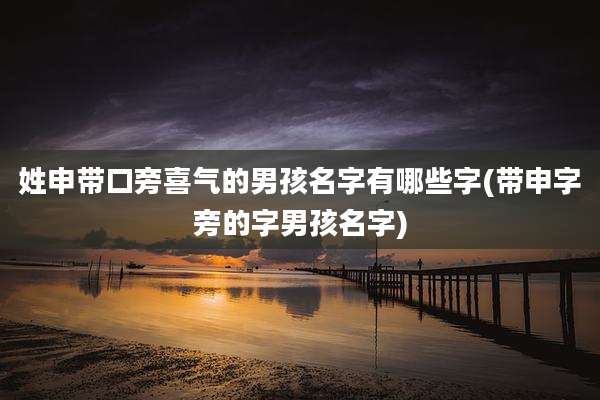 姓申带口旁喜气的男孩名字有哪些字(带申字旁的字男孩名字)