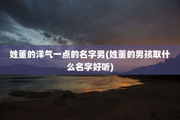 姓董的洋气一点的名字男(姓董的男孩取什么名字好听)