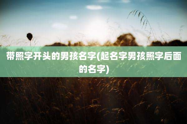 带照字开头的男孩名字(起名字男孩照字后面的名字)
