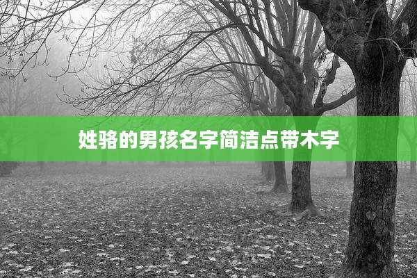 姓骆的男孩名字简洁点带木字