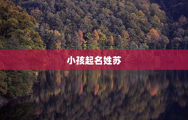 小孩起名姓苏