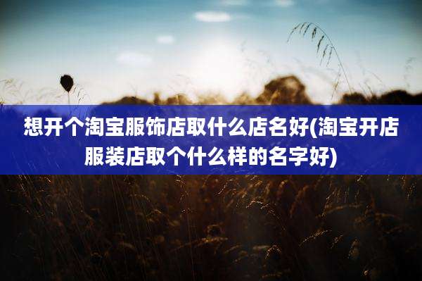 想开个淘宝服饰店取什么店名好(淘宝开店服装店取个什么样的名字好)