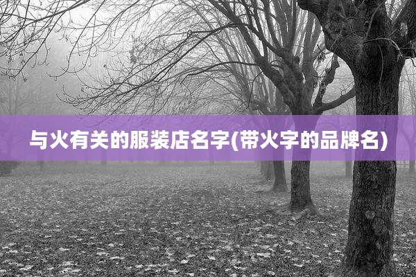 与火有关的服装店名字(带火字的品牌名)