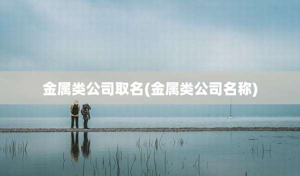 金属类公司取名(金属类公司名称)