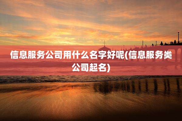 信息服务公司用什么名字好呢(信息服务类公司起名)
