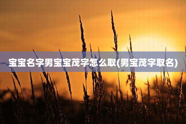 宝宝名字男宝宝茂字怎么取(男宝茂字取名)