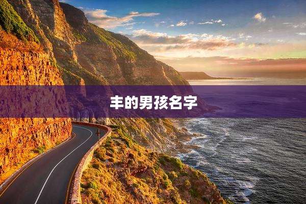 丰的男孩名字