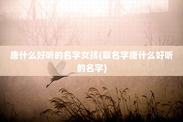 唐什么好听的名字女孩(取名字唐什么好听的名字)