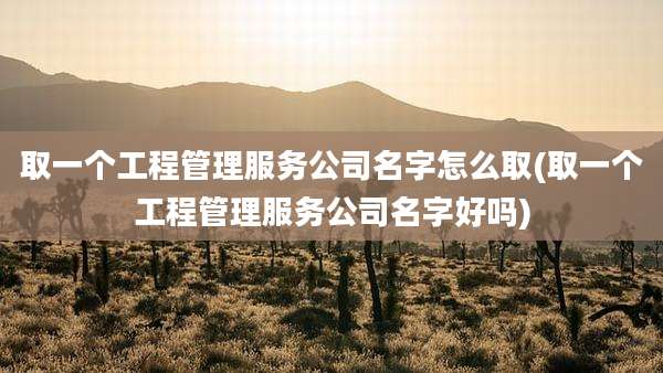 取一个工程管理服务公司名字怎么取(取一个工程管理服务公司名字好吗)