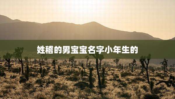姓稽的男宝宝名字小年生的