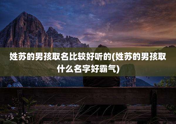 姓苏的男孩取名比较好听的(姓苏的男孩取什么名字好霸气)