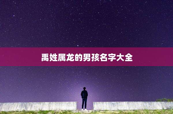 禹姓属龙的男孩名字大全