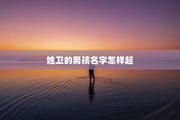 姓卫的男孩名字怎样起