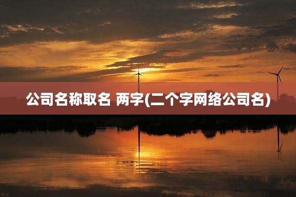 公司名称取名 两字(二个字网络公司名)