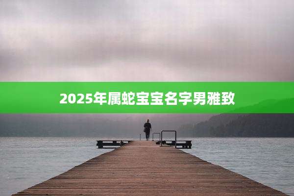 2025年属蛇宝宝名字男雅致